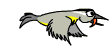 Image courtesy of webweaver.nu