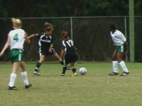 1200t.jpg (10060 bytes)